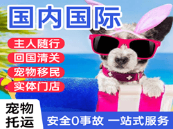 佳木斯机场快运国际宠物托运 【国